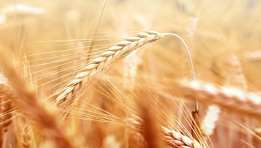 نماهنگ؛ آثار دنیایی سبک شمردن در دنیا