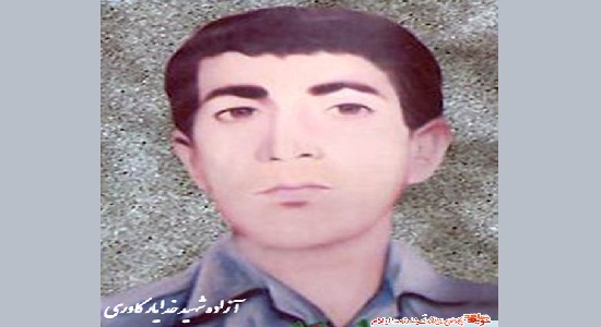سکوتش فریاد بود