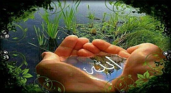 نماز عالی در پرتو درک مهربانی خدا