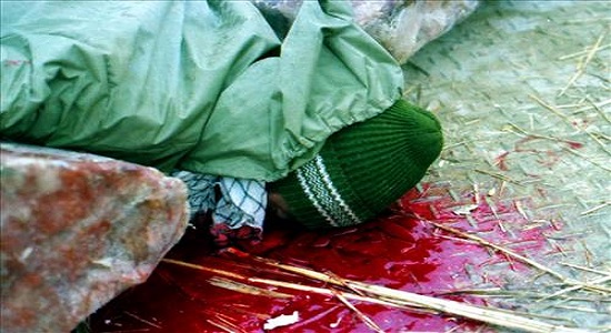 آخرین سجده سید