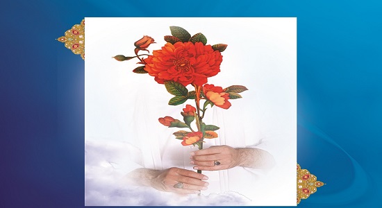 ریا مثل آب کنار خربزه تو یخچاله