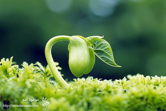 معنا بخشیدن  نماز به زندگی
