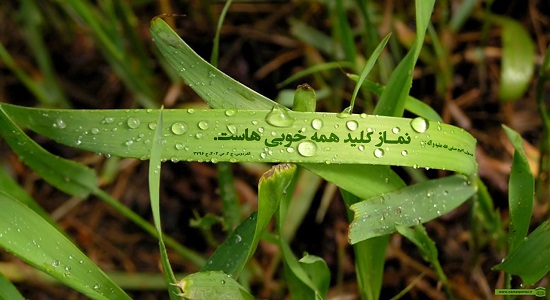 نماز کلید همه خوبی ها