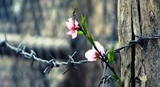 دردسرهای ما برای نمازجماعت 