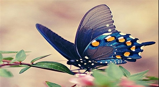 منزل معرفت