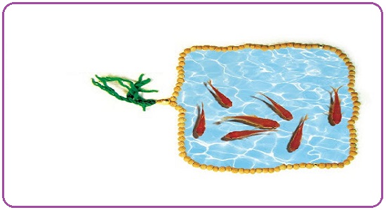 نقش نماز در زندگی ما