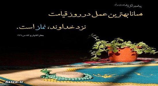 شب، نماز مصطفی را دیده 