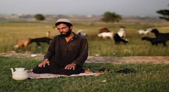 تمثیلات زیبای نمازی