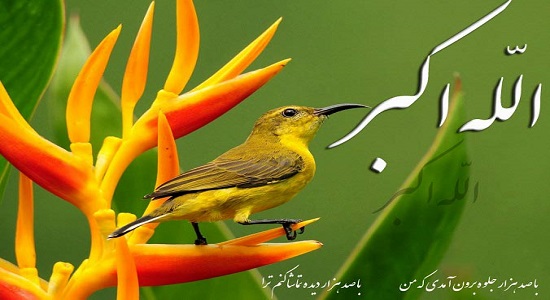آیا بی نماز کافر است؟