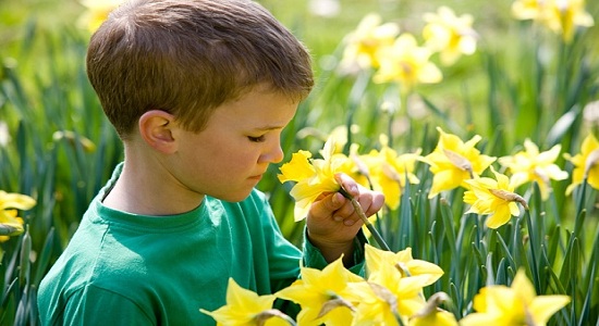 بازی های بویایی