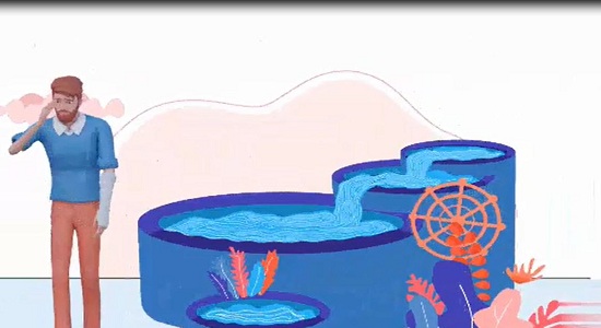  موشن گرافی؛ وضوی جبیره