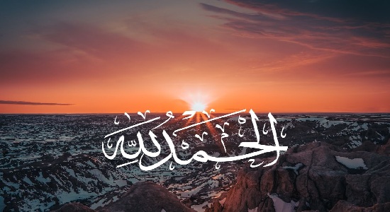  استاد محمودی؛ راه تشکر