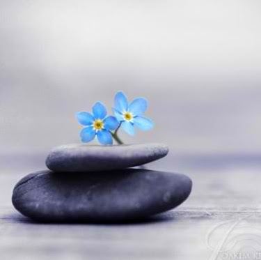 دو اهرم برای حل مشکلات