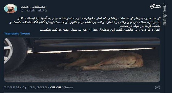 برخورد عجیب یک روحانی با یک سگ بعد از نماز