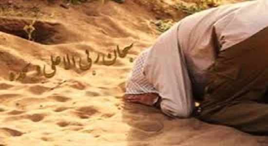 دلنوشته؛ زیبایی سجده