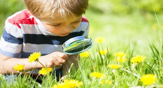 بازی با ذره بین