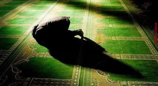 این تعقیبات غوغا می کند!
