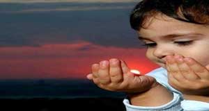 یک سین در هفت سین 