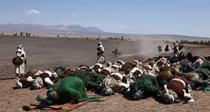 نماز در همه لحظات
