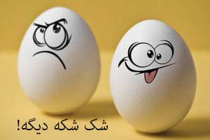 شک شکه دیگه!