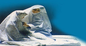 نماز؛ نردبانی بهسوی معرفت الهی