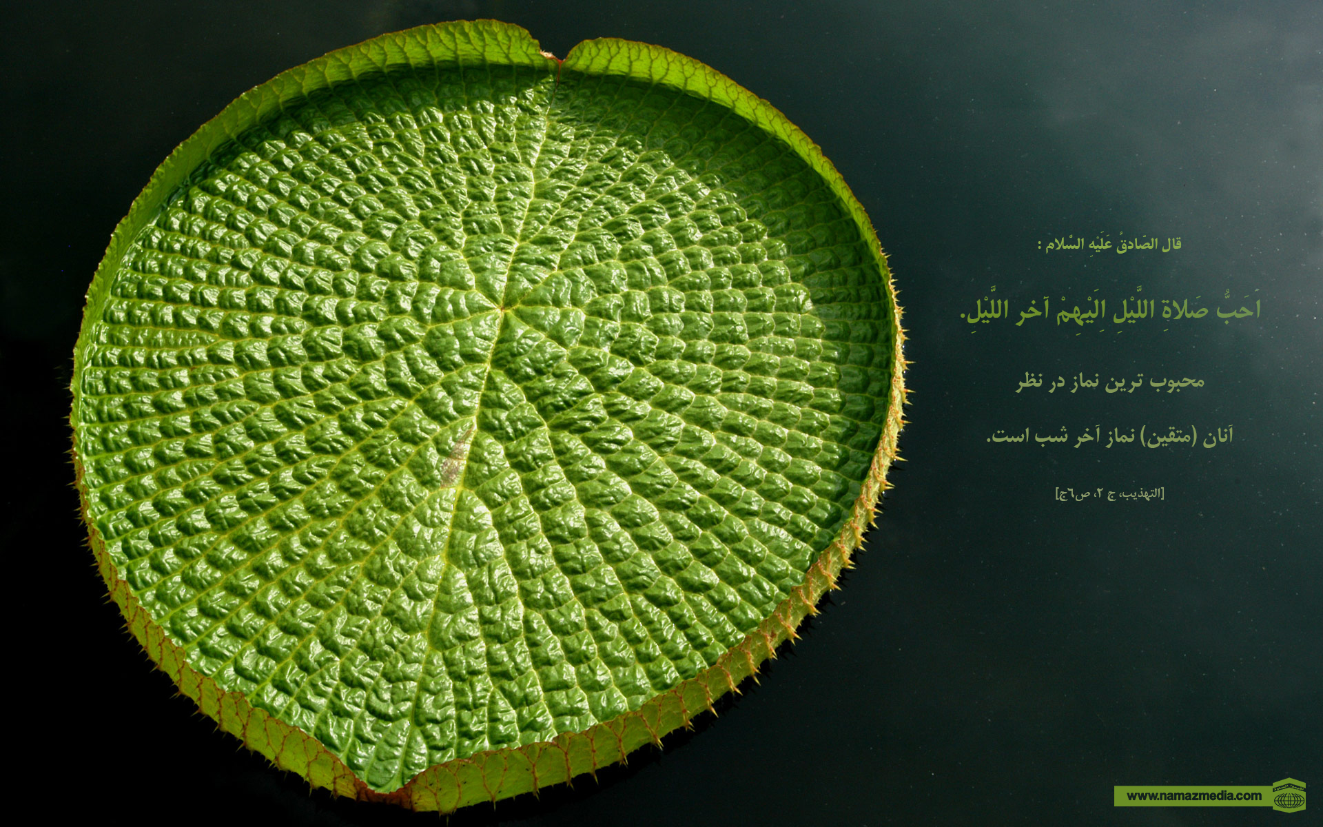 پوستر احادیث حضرت امام صادق(ع) 1