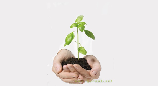 فرصتی برای بازگشت