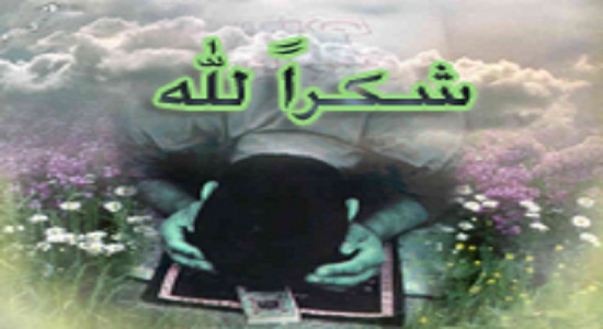 سجده شکر چه اسرار و آثاری دارد
