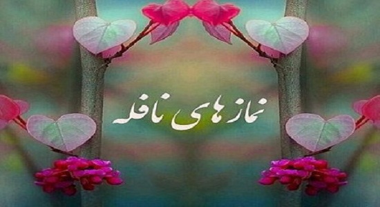 آثار و اسرار نماز نافله