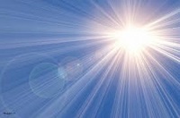 محسن ابراهیمی