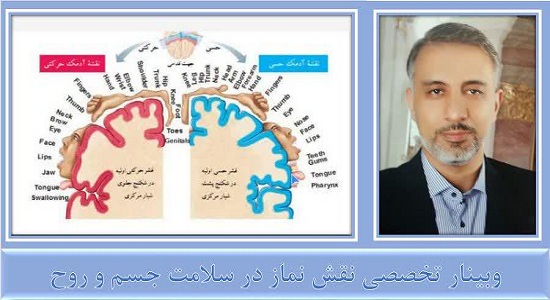 چهارمین وبینار نقش نماز در سلامت جسم و روح برگزار شد