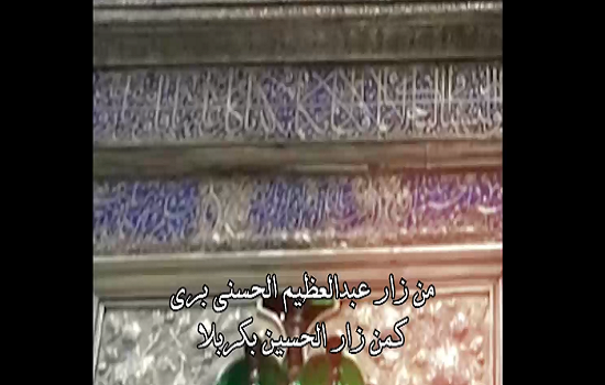 استوری، وفات حضرت عبدالعظیم حسنی (سلام الله علیه)