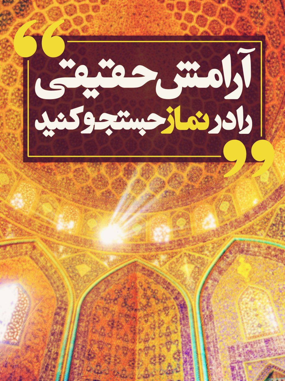 بدون شرح 